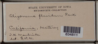 Image Associated With the Occurence